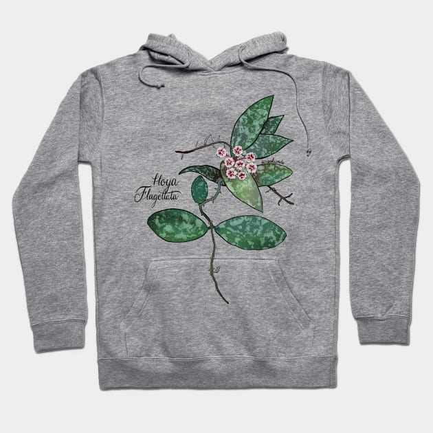 Hoya flagellata in bloom Hoodie by Wieskunde